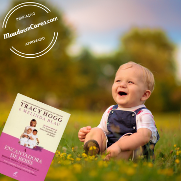 Dica de leitura: A encantadora de bebês